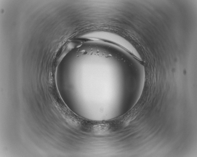 X0000052940700200507221147