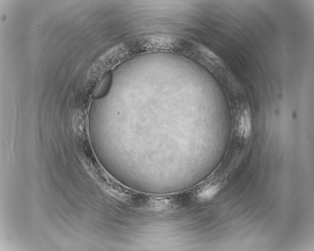 X0000052940701200507221147