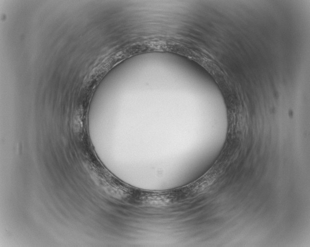 X0000052940702200507221147