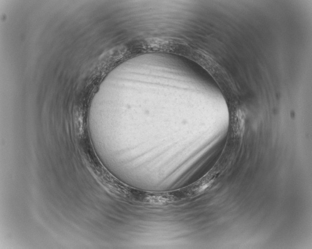 X0000052940703200507221147