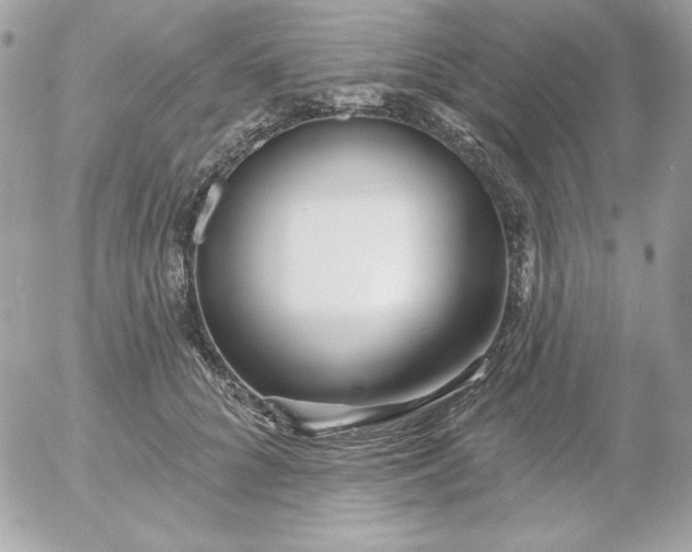 X0000052940704200507221147