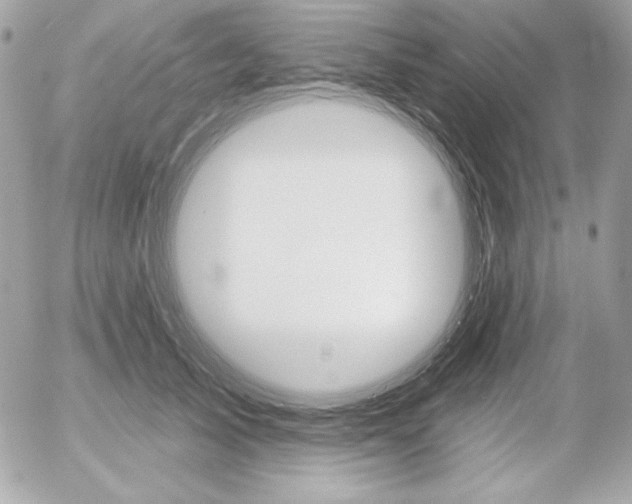 X0000052940705200507221147