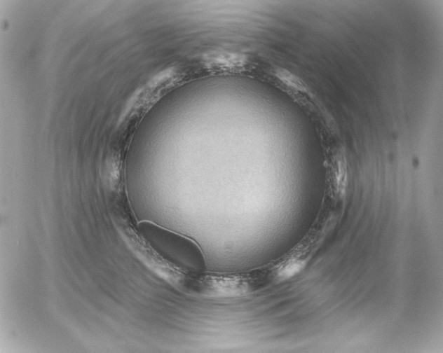 X0000052940709200507221146