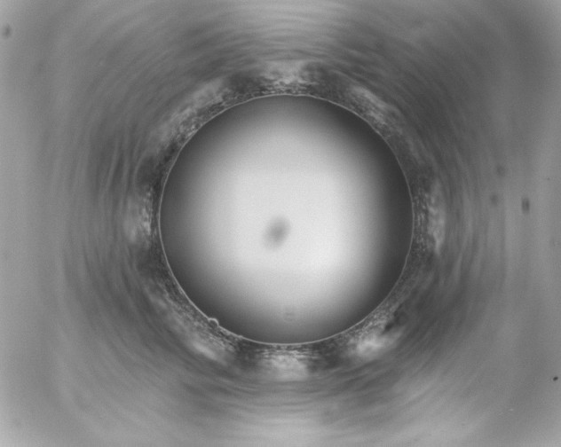 X0000052940710200507221146