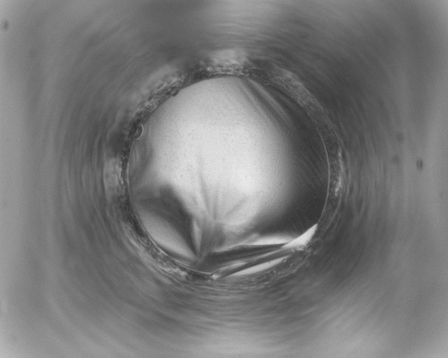 X0000052940711200507221146