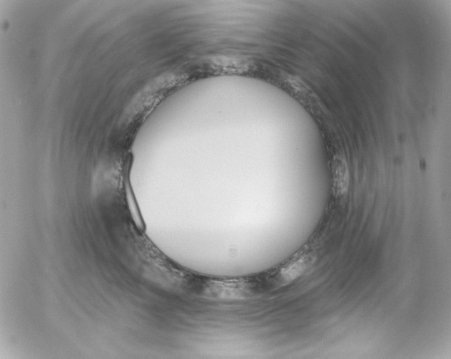 X0000052940713200507221146