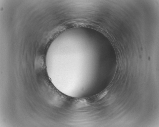 X0000052940715200507221146