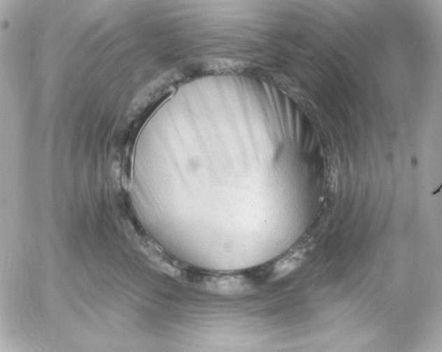 X0000052940716200507221146