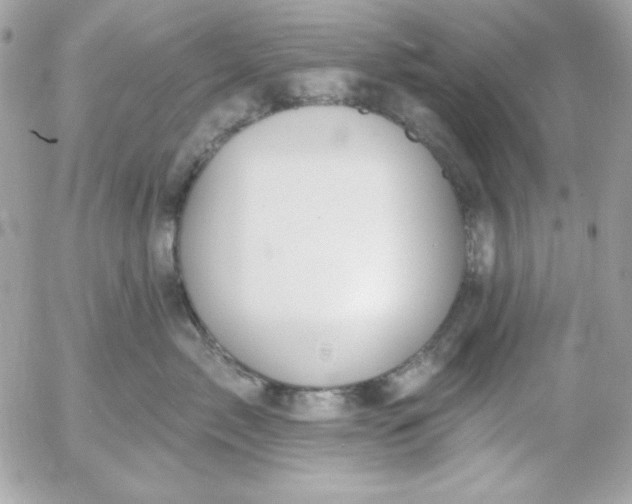 X0000052940717200507221146