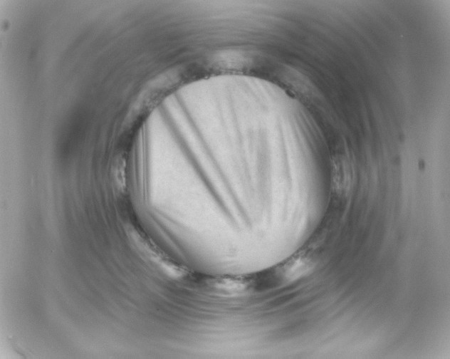 X0000052940718200507221146