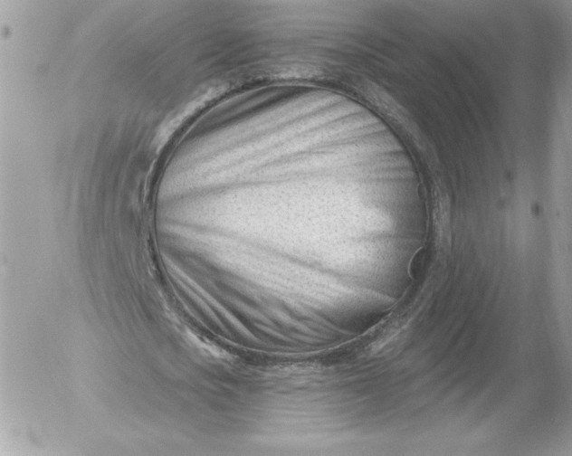 X0000052940721200507221146