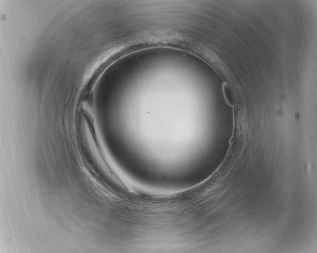 X0000052940722200507221146