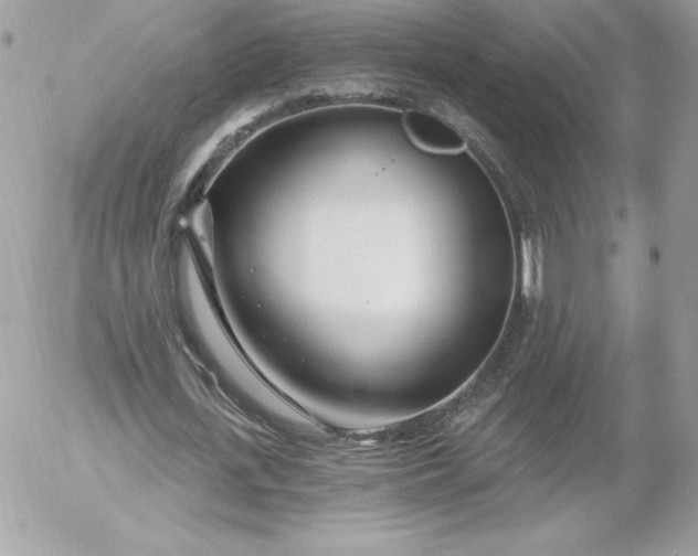 X0000052940723200507221146