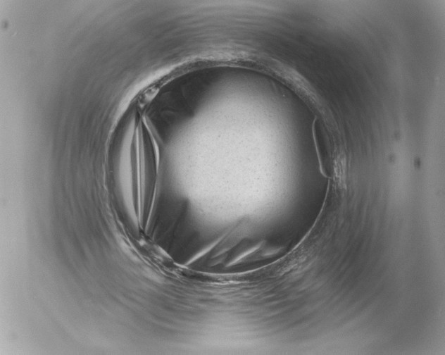 X0000052940724200507221146