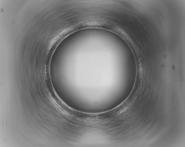 X0000052940725200507221146