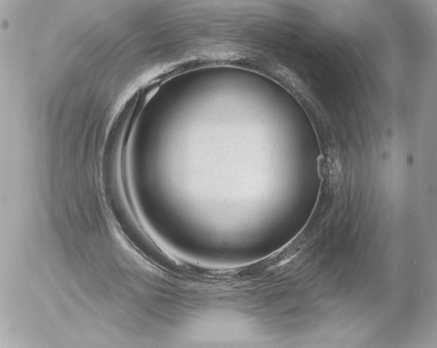 X0000052940726200507221146