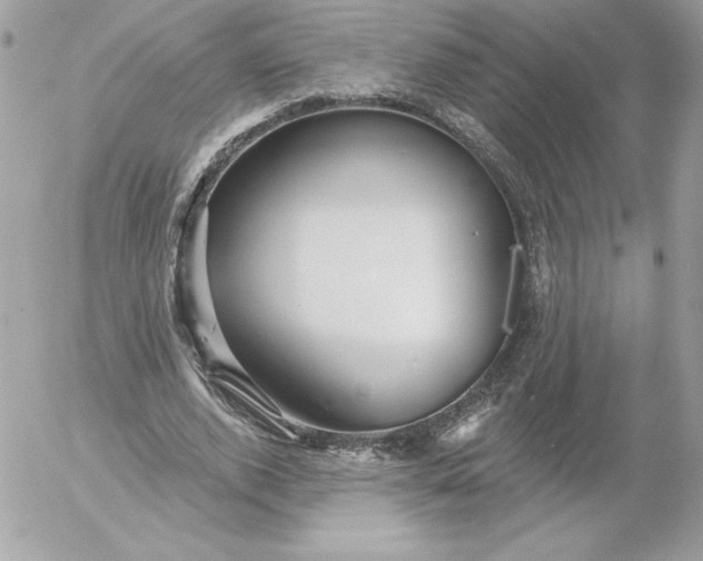 X0000052940728200507221146