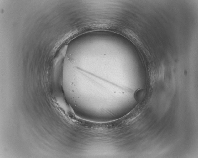 X0000052940729200507221146