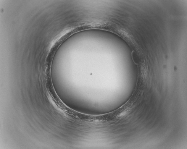 X0000052940730200507221146