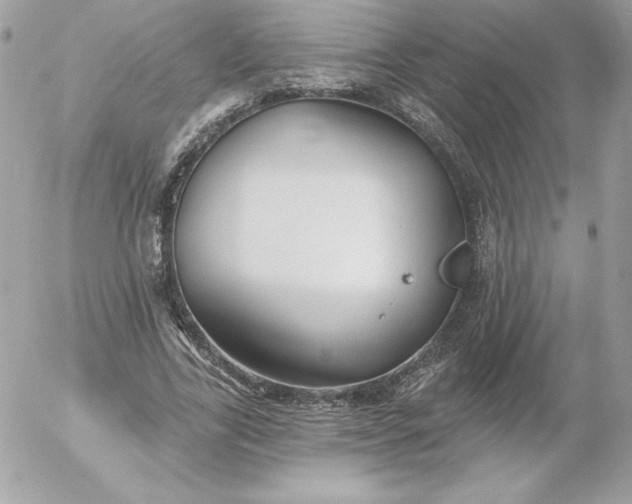 X0000052940731200507221146