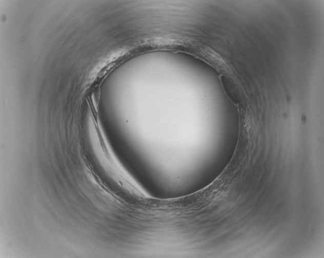 X0000052940732200507221146