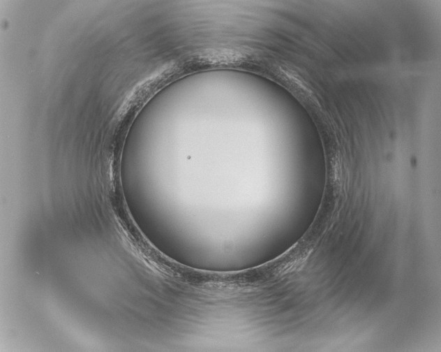 X0000052940733200507221146