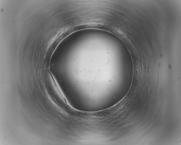 X0000052940734200507221146