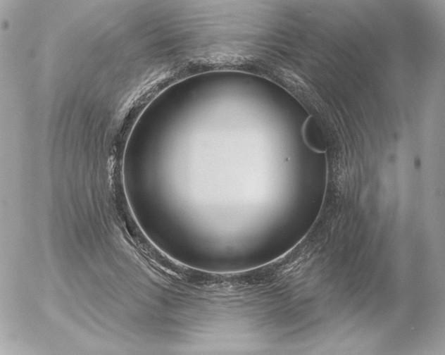 X0000052940735200507221146