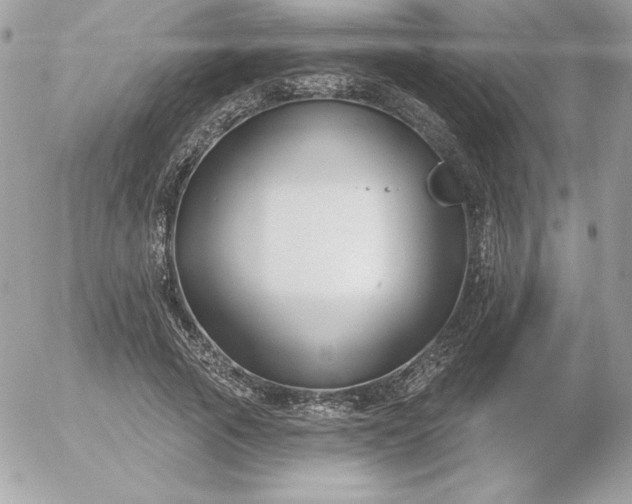 X0000052940737200507221146