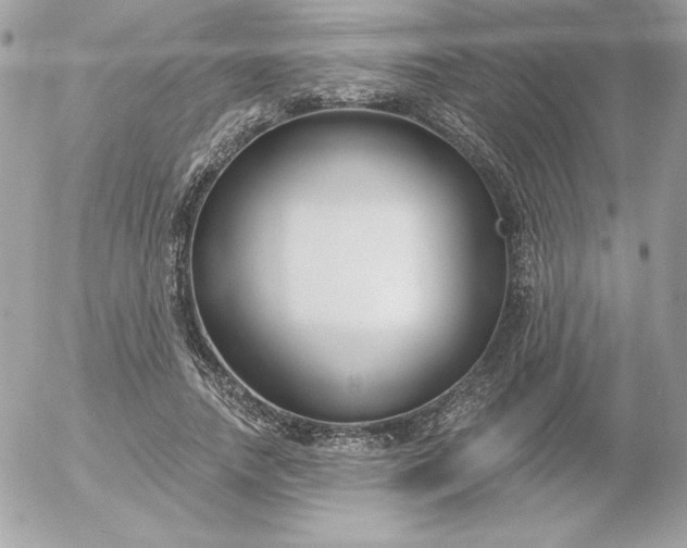 X0000052940738200507221146