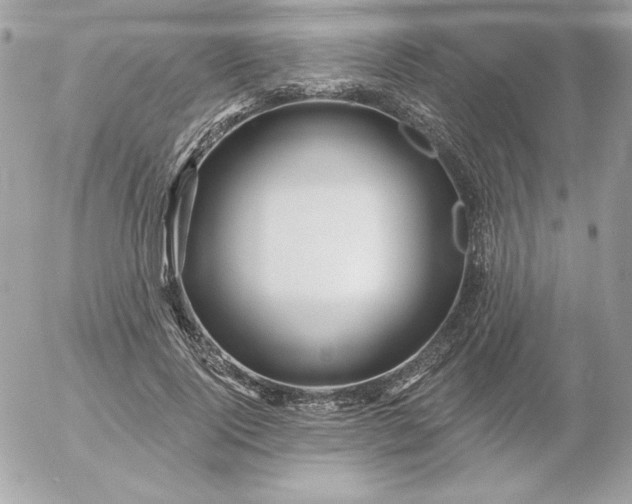 X0000052940740200507221146