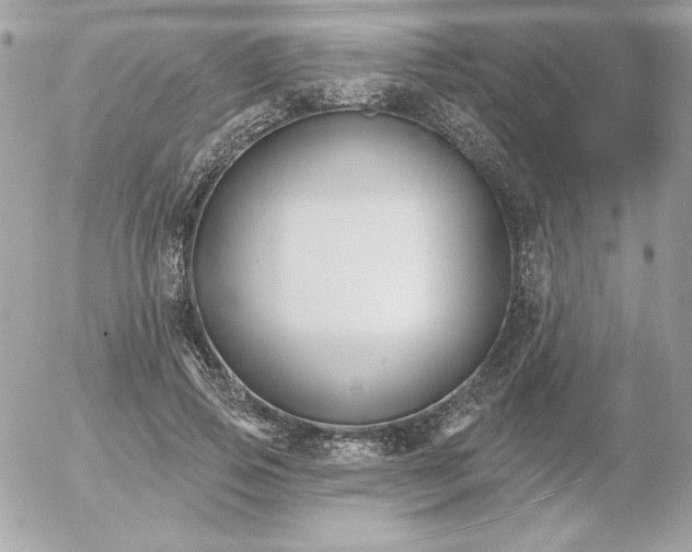 X0000052940741200507221146