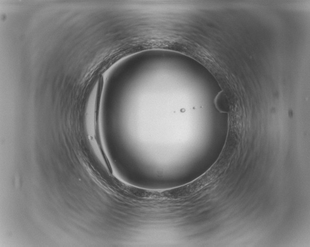 X0000052940742200507221146