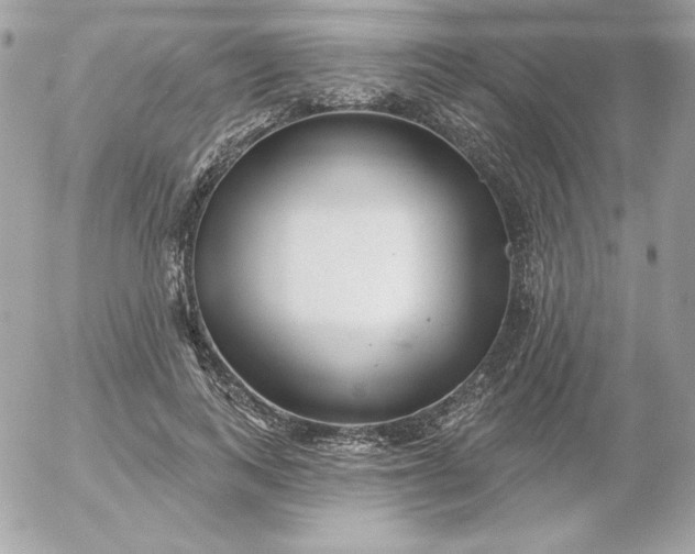 X0000052940743200507221146