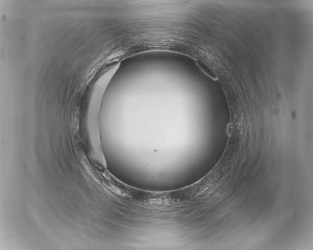 X0000052940744200507221146