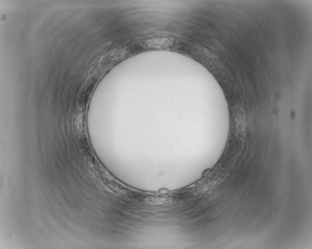 X0000052940745200507221146