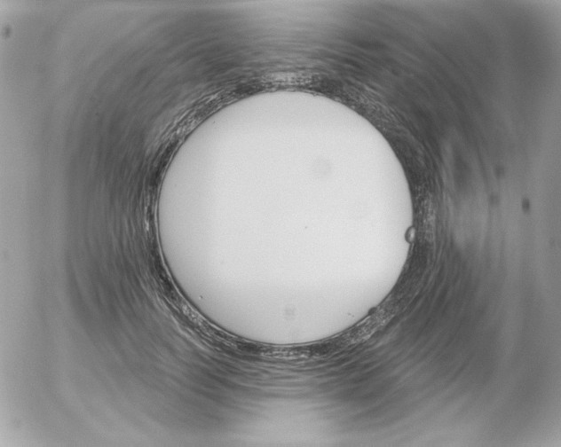 X0000052940746200507221146