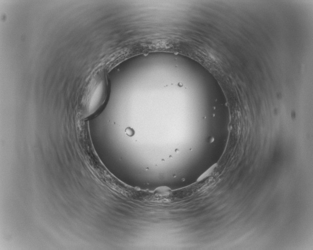 X0000052940747200507221146