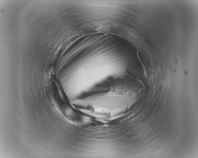 X0000052940748200507221146