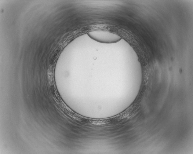 X0000052940749200507221146