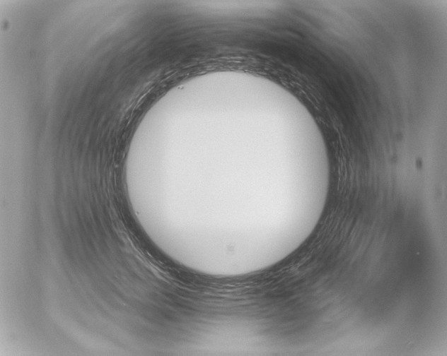 X0000052940750200507221146