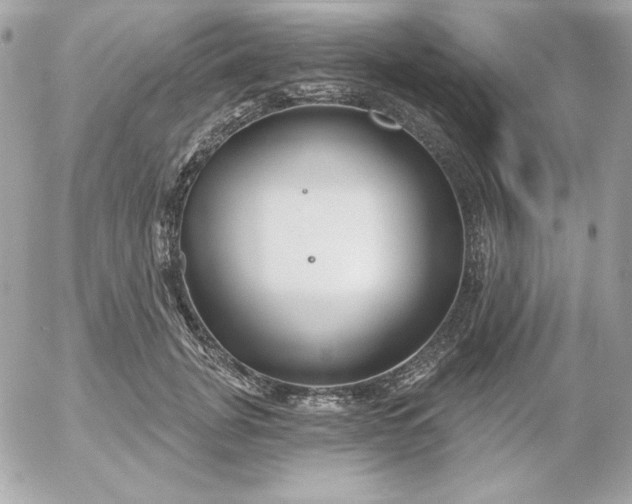 X0000052940751200507221146