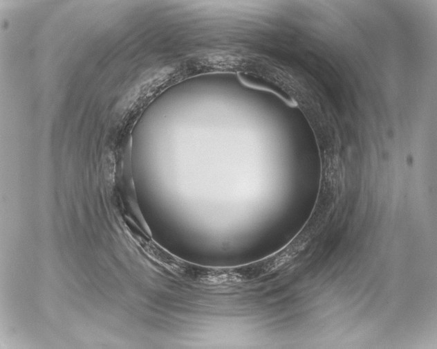 X0000052940752200507221146