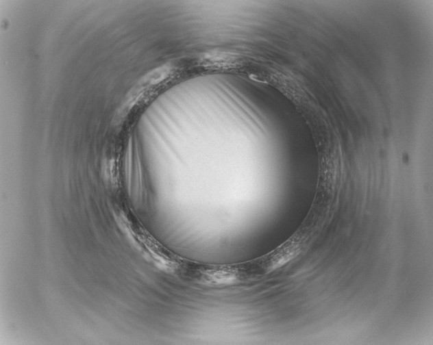 X0000052940755200507221146