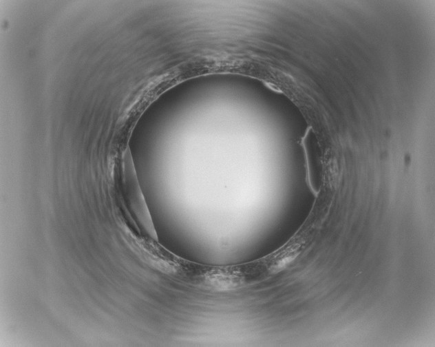 X0000052940756200507221146