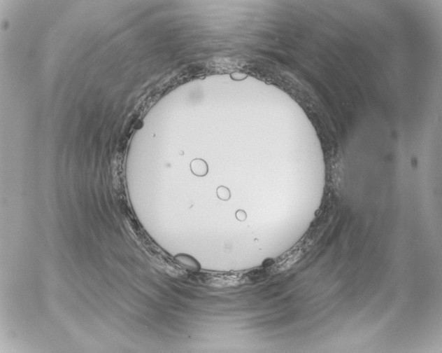 X0000052940757200507221146