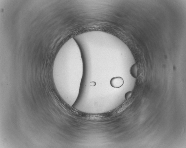 X0000052940758200507221146