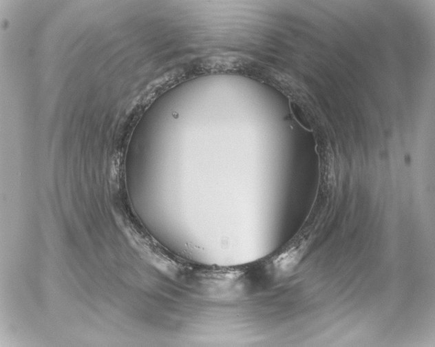 X0000052940759200507221146