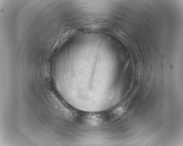 X0000052940760200507221146