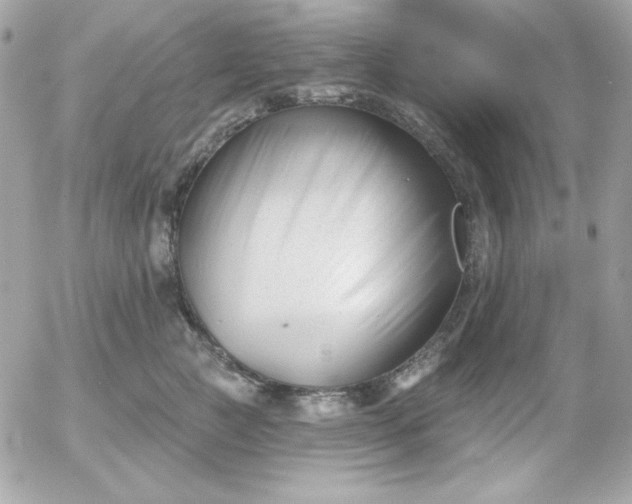 X0000052940761200507221146